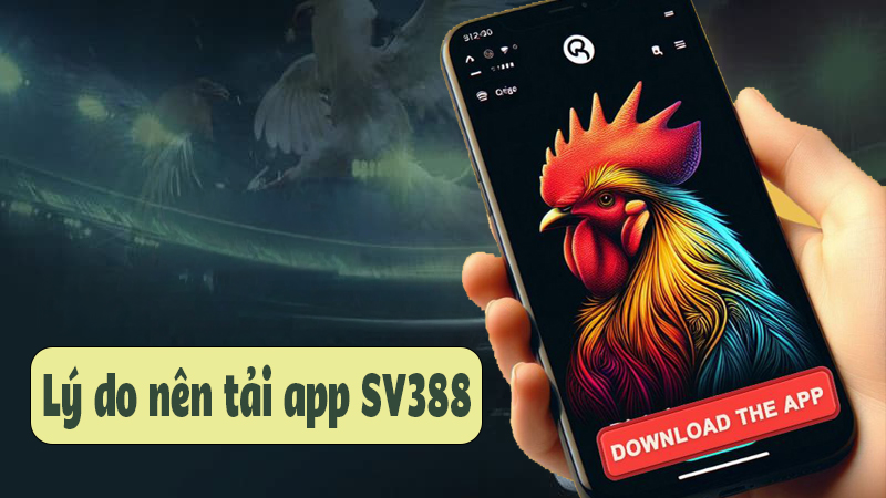 Tại sao nên tải app sv388