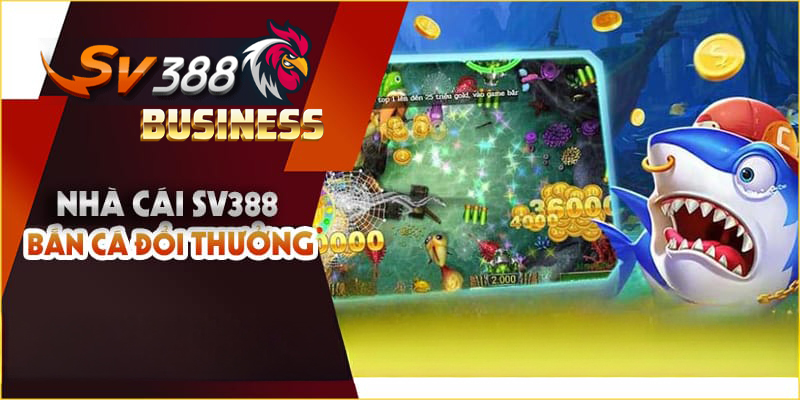 Bắn cá sv388 giải trí chân thực
